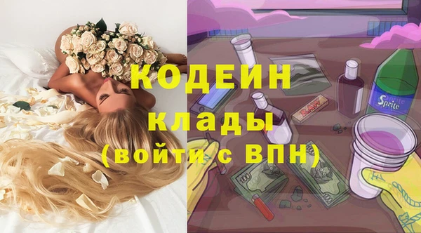 дживик Каменка