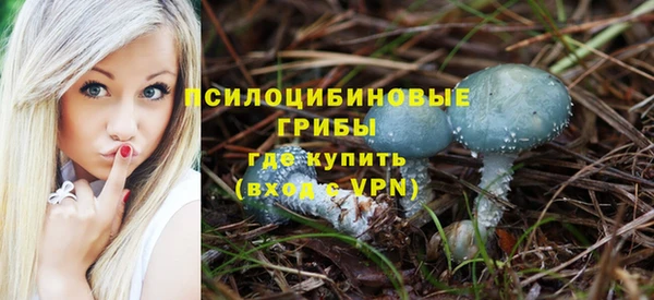 МДМА Каменногорск