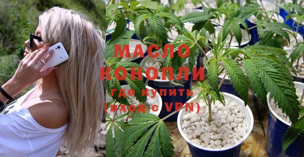 дживик Каменка